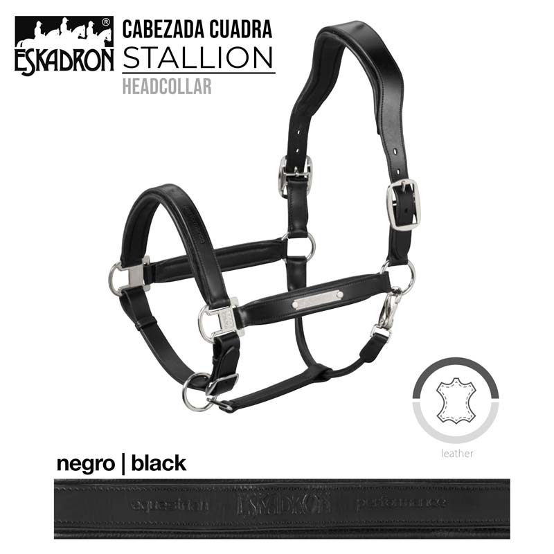 Cabezada Cuadra ESKADRON STALLION Cuero